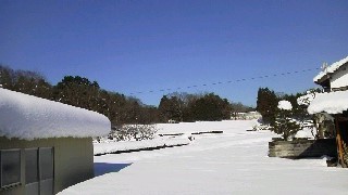 2017012611390000.jpg