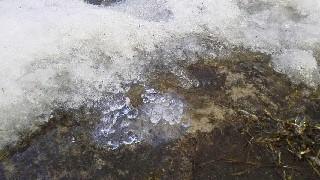 2017012611390001.jpg